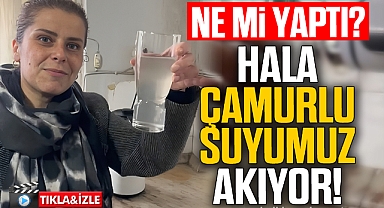 Ali Bektaş'ı bu sözlerle eleştirdi