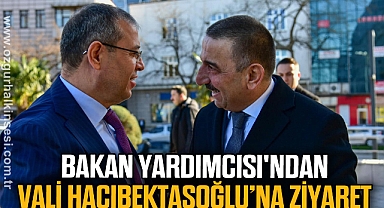 BAKAN YARDIMCISI'NDAN VALİ HACIBEKTAŞOĞLU’NA ZİYARET
