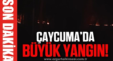 ÇAYCUMA'DA BÜYÜK YANGIN