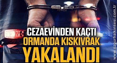 Cezaevinden kaçtı, ormanda kıskıvrak yakalandı