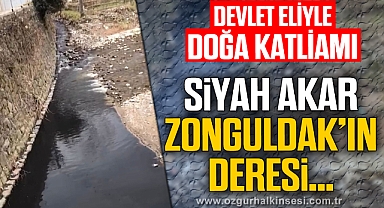 DEVLET ELİYLE DOĞA KATLİAMI
