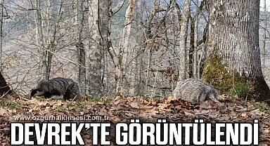 DEVREK'TE GÖRÜNTÜLENDİ