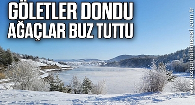 Göletleri dondu, ağaçlar buz tuttu