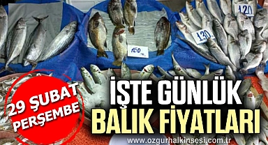 GÜNLÜK BALIK FİYATLARI