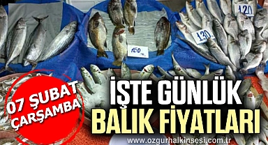 GÜNLÜK BALIK FİYATLARI