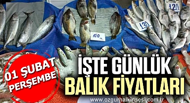 GÜNLÜK BALIK FİYATLARI