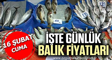 GÜNLÜK BALIK FİYATLARI