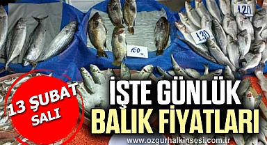GÜNLÜK BALIK FİYATLARI
