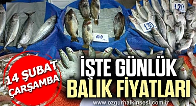 GÜNLÜK BALIK FİYATLARI