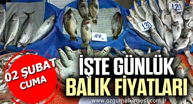 GÜNLÜK BALIK FİYATLARI