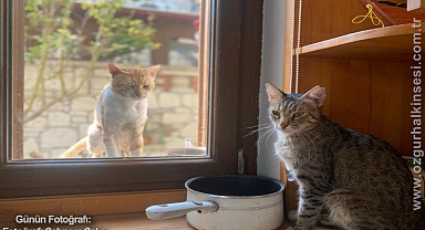 GÜNÜN FOTOĞRAFI