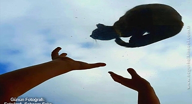 GÜNÜN FOTOĞRAFI