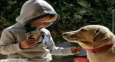 GÜNÜN FOTOĞRAFI