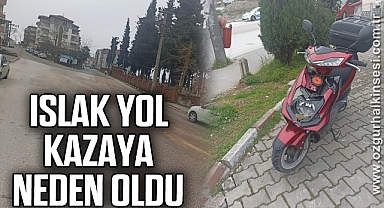 Islak yol, kazaya neden oldu