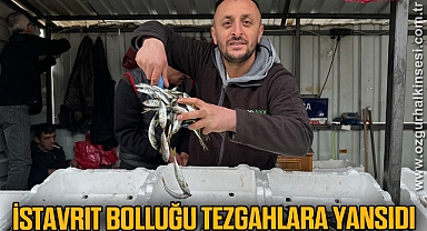 İstavrit bolluğu tezgahlara yansıdı