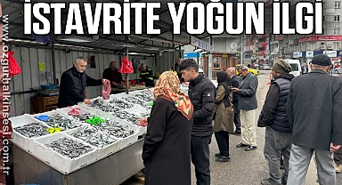 İstavrite yoğun ilgi