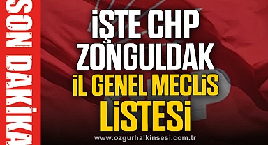 İşte CHP İl Genel Meclis Listesi