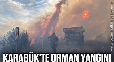 Karabük'te orman yangını