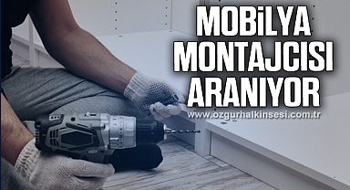 Mobilya Montajcısı Aranıyor
