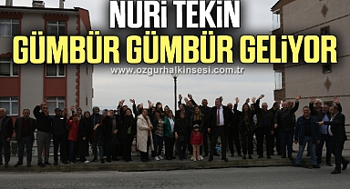 NURİ TEKİN GÜMBÜR GÜMBÜR GELİYOR
