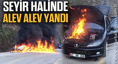 Seyir halindeki otomobil alev alev yandı