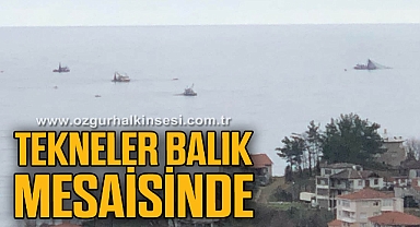 Tekneler balık mesaisinde