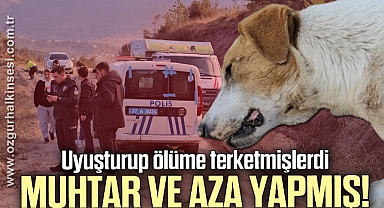 Uyuşturdukları köpekleri ölüme terk eden 3 şüpheli yakalandı