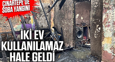 Yangın iki evi kullanılamaz hale getirdi