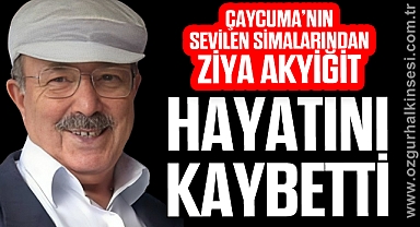 Ziya Akyiğit yaşamını yitirdi