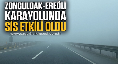 Zonguldak-Ereğli karayolunda sis etkili oldu