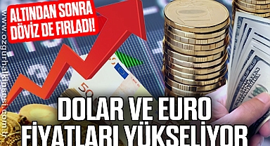 Altından sonra döviz de fırladı!