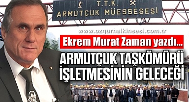 ARMUTÇUK TAŞKÖMÜRÜ İŞLETMESİNİN GELECEĞİ