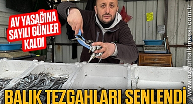 Av yasağına sayılı günler kala balık tezgâhları şenlendi
