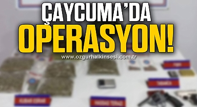 Çaycuma'da operasyon! 1 kişi tutuklandı...