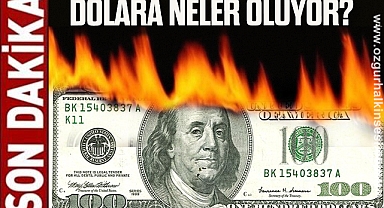 DOLARA NELER OLUYOR?
