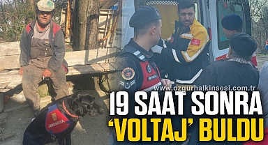 Engelli adamı Voltaj isimli iz takip köpeği ile buldu