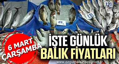 GÜNLÜK BALIK FİYATLARI