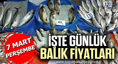 GÜNLÜK BALIK FİYATLARI