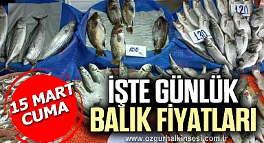 GÜNLÜK BALIK FİYATLARI