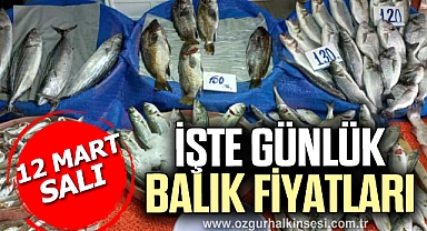 GÜNLÜK BALIK FİYATLARI