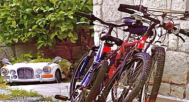 GÜNÜN FOTOĞRAFI
