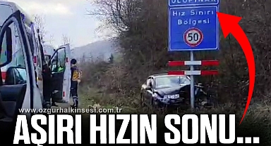 Hız yapan otomobil, hız uyarı tabelasına çarparak durabildi