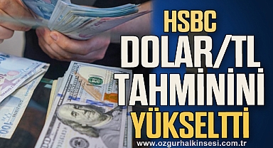 HSBC dolar/TL tahminini yükseltti