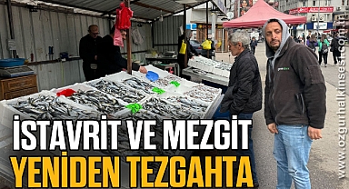 İstavrit ve mezgit yeniden tezgahta