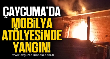 Mobilya atölyesinde yangın