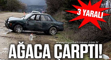 Otomobil ağaca çarptı