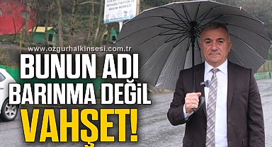 Sesli, “Bunun adı barınma değil, vahşet!”