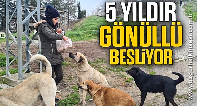Sokak hayvanlarını 5 yıldır gönüllü besliyor