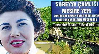 SÜREYYA ÇAMLIĞI MESİRE YERİ…