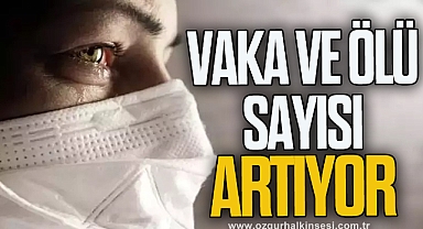 VAKA VE ÖLÜ SAYISI ARTIYOR